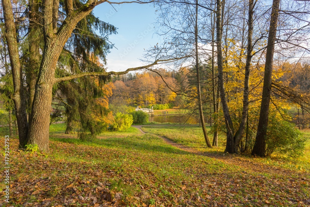 Fototapeta premium Bright autumn landscape