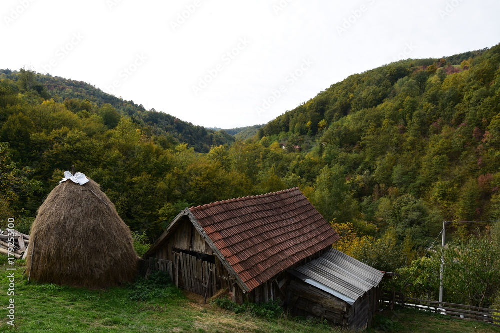 In the village In the village