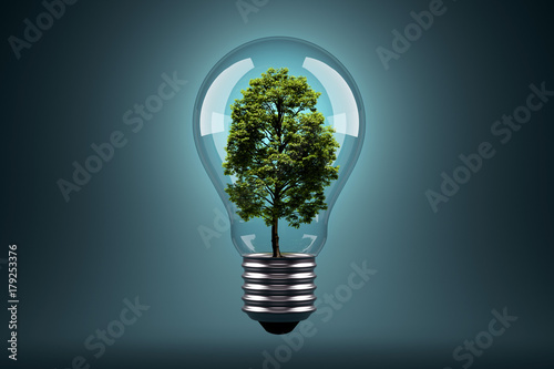 Ecology Concept. Green tree growing in light bulb. 