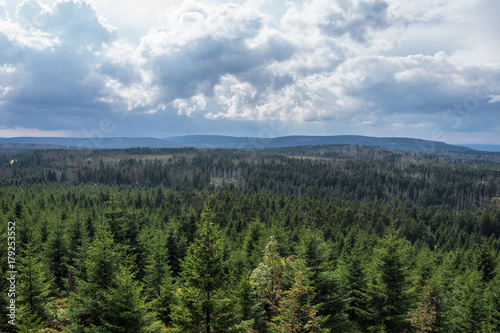The landscape of mountain in Harz, Germany © wlad074
