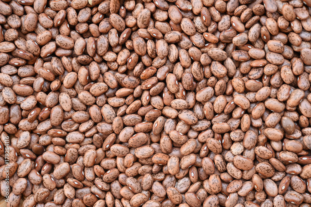 close up of pinto bean for background close up of pinto bean for background