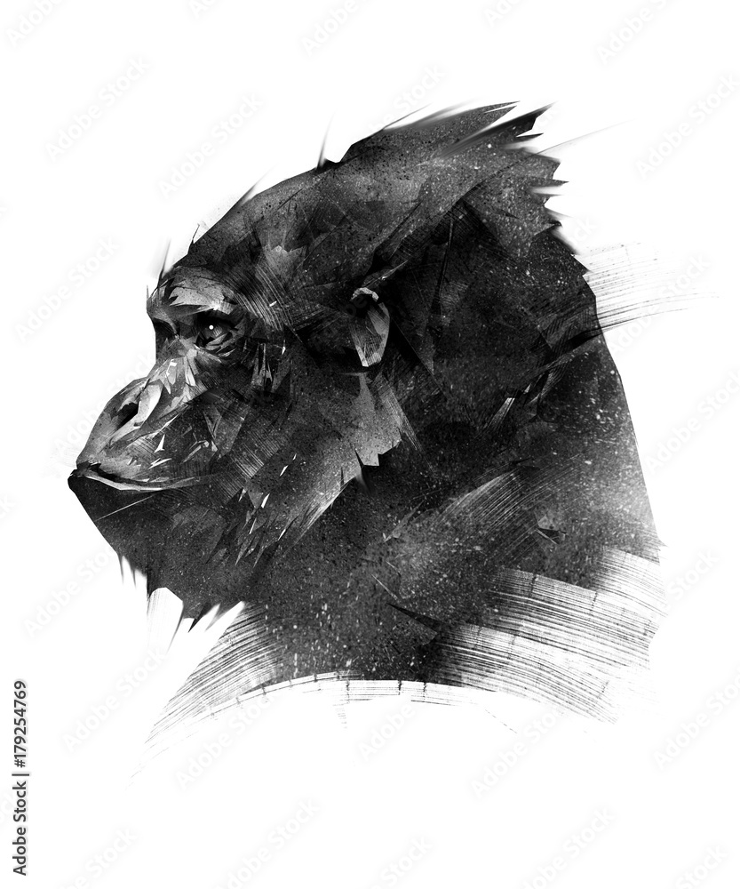 Fototapeta premium szkic głowy goryla małpa na białym tle