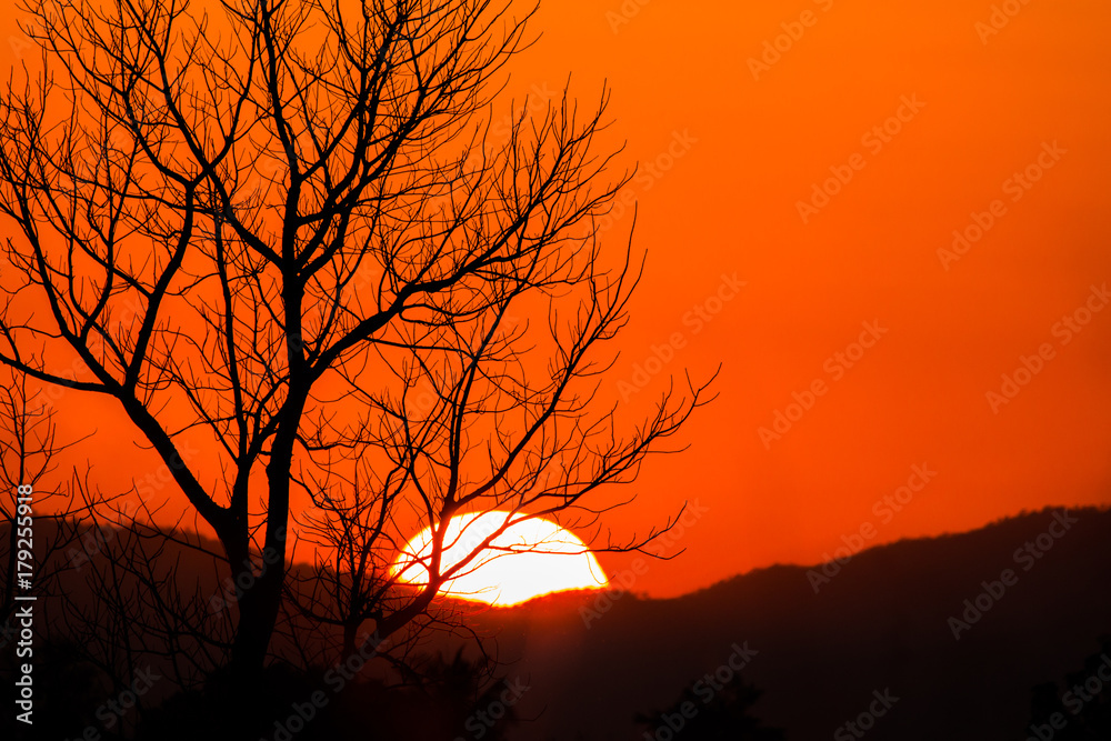 colorful dramatic sky with cloud at sunset colorful dramatic sky with cloud at sunset