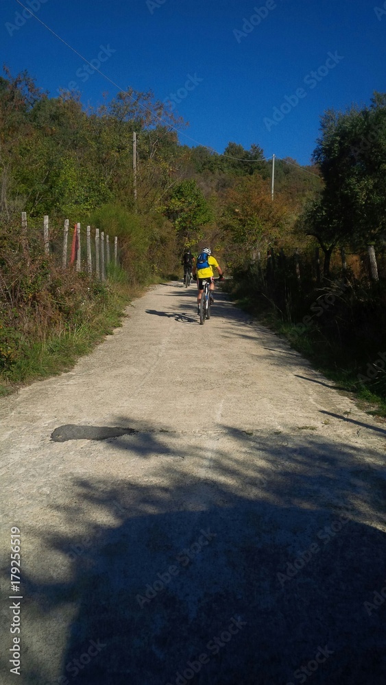 Obraz premium ciclisti