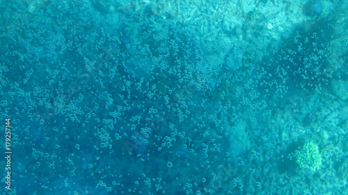 Under Water Bubbles