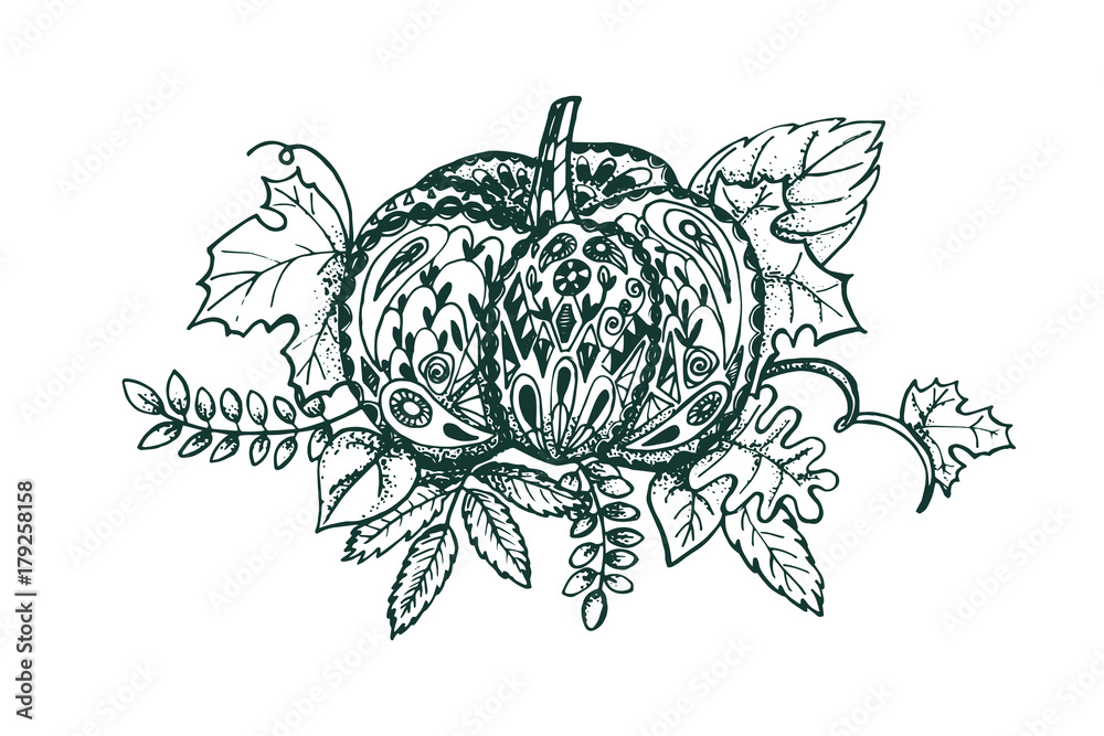 Stylized pumpkin and leaves isolated on white background. Autumn topic coloring page. Stylized pumpkin and leaves isolated on white background. Autumn topic coloring page.