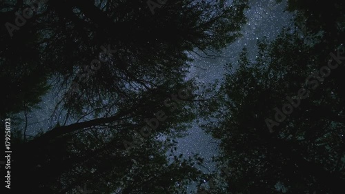 Night milky way stars spin above aspen tree leaves forest silhouette magical magic Andromeda galaxy