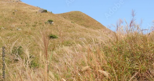 Sunset peak in Hong Kong photo