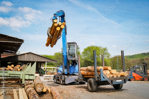 Holzindustrie - Sägewerk, Kranbeim Verladen von Baumstämmen
