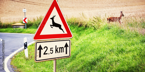 Road Sign and Deer next to a Country Road, Germany photo