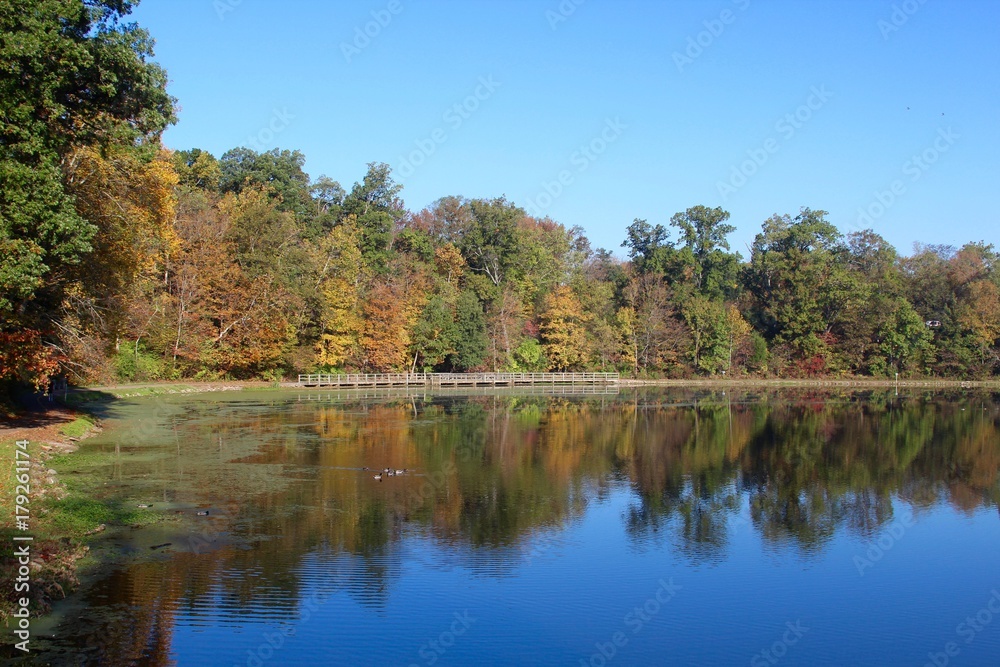 The autumn trees reflecting off theater of the lake in the park,
