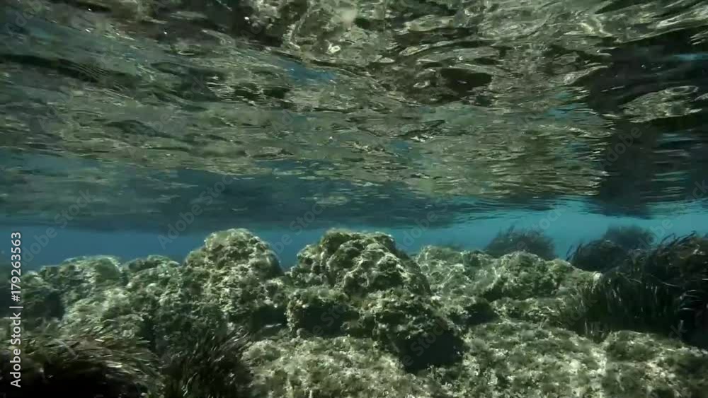 the sea bottom on the mirror, incredible transparent sea the sea bottom on the mirror, incredible transparent sea