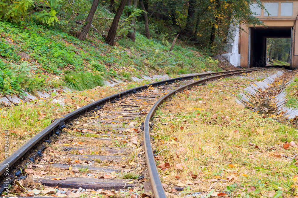 Rails leading to the tunnel with fallen yellow autumn leaves on the ground Rails leading to the tunnel with fallen yellow autumn leaves on the ground