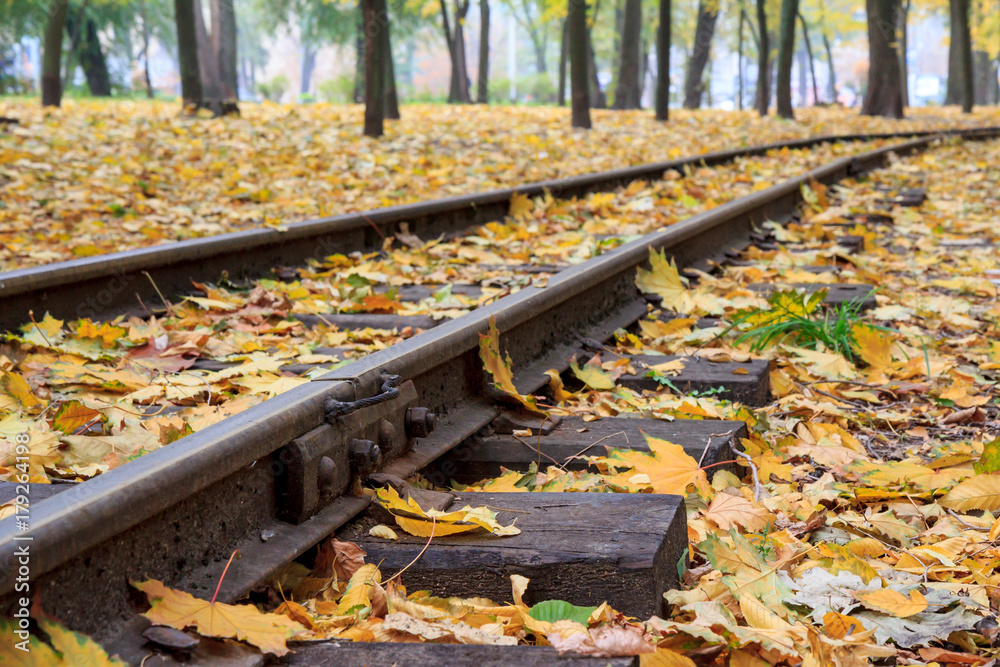 Obraz premium Rails in the city park with fallen yellow autumn leaves