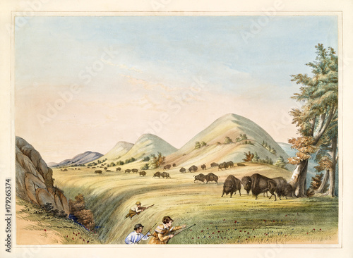 Buffalo hunt. Hunters Approaching in a ravine to organize an ambush. Old watercolor illustration By G. Catlin, Catlin's North American Indian Portfolio, Ackerman, New York, 1845 photo