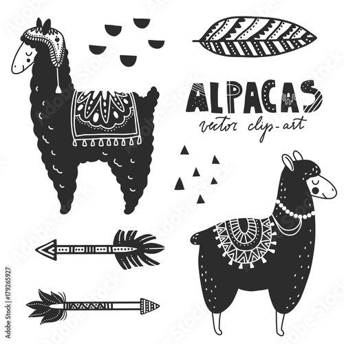 Hand drawn monochrome vector illustration. Llamas or alpacas. Scandinavian style. For nursery room posters, greeting cards, apparel and other. Black and white.