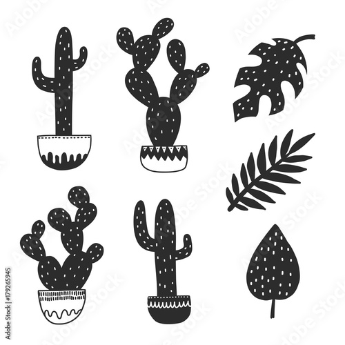Cactus and plants. Hand drawn monstera drawing