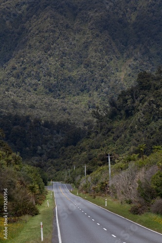 Waitaha scenic reserve photo