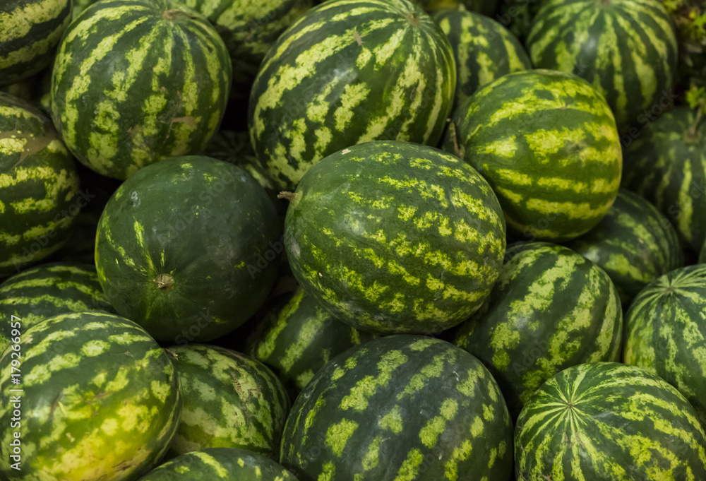 many ripe watermelon. Natural pattern background of green berries close-up many ripe watermelon. Natural pattern background of green berries close-up