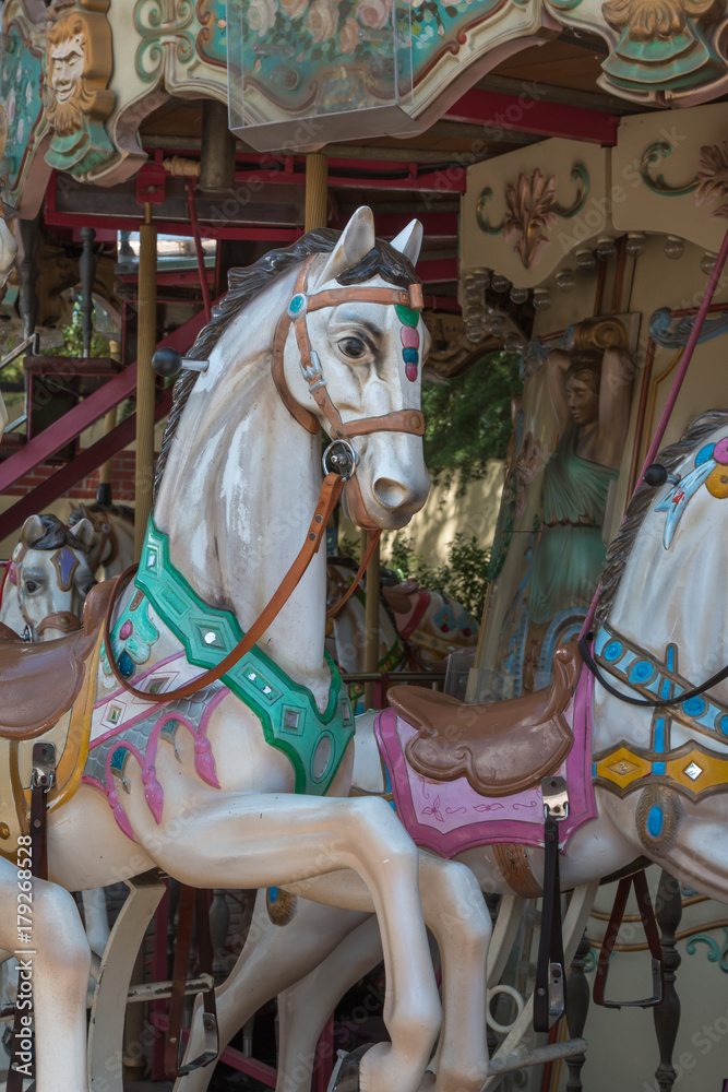 Colorful Carousel Horses in a Holiday Park, Merry-go-round Horse
