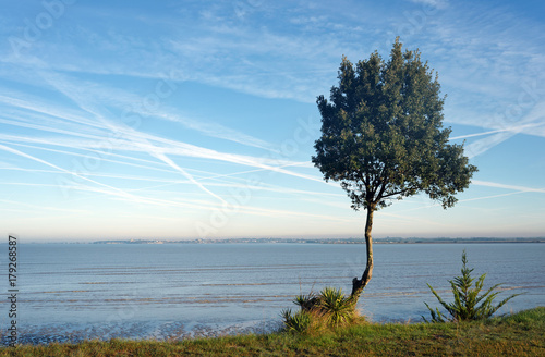 Estuaire de la Charente