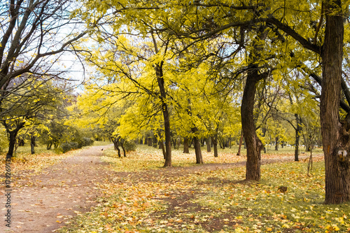 Autumn park trail landscape