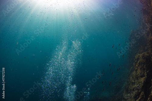 Underwater background of air bubbles on blue, coral reef with fish, sunbeams going from water surface