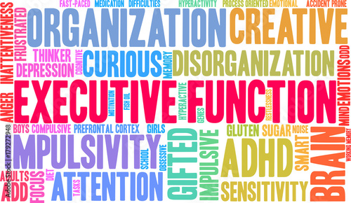 Executive Function Word Cloud on a white background. 