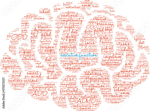 Executive Function ADHD Word Cloud on a white background. 