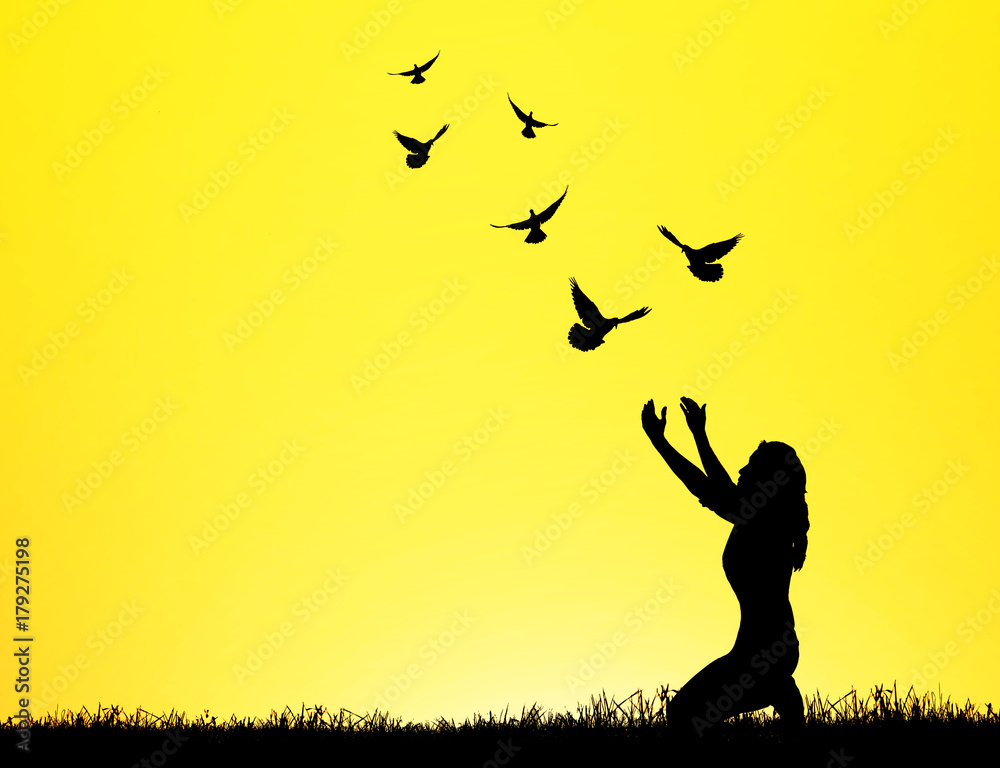 silhouette of bird flying into lady hand on beautiful background.freedom concept silhouette of bird flying into lady hand on beautiful background.freedom concept