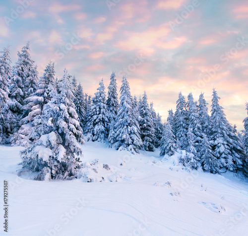 Magnificent winter sunrise in Carpathian mountains