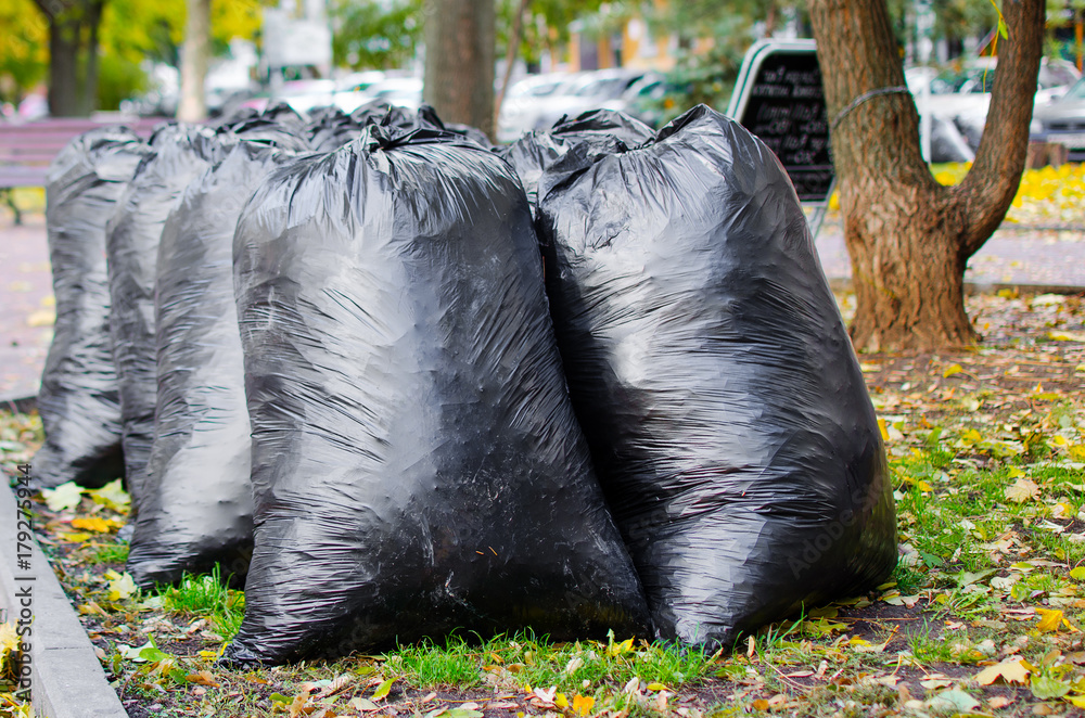 Lots of big black garbage bags for cleaning the autumn leaves on