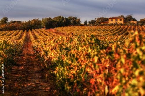 Terroirs of Provence