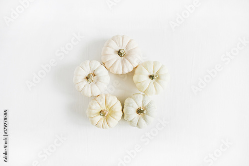 Frame of white pumpkins. Autumn minimal arrangement. Flat lay  top view.