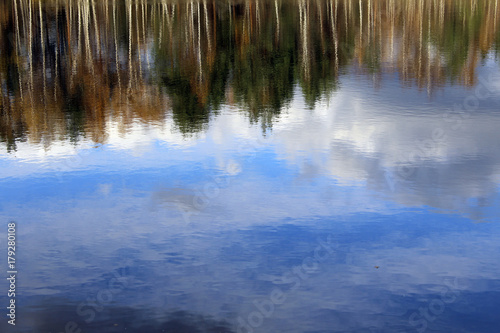 reflexion of the autumn wood in the lake