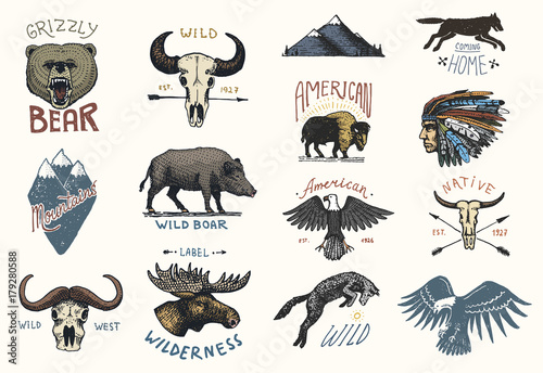 set of engraved vintage, hand drawn, old, labels or badges for camping, hiking, hunting with boar, bear and wolf, red fox . skull and bald eagle, moose face, indian or native american. buffalo