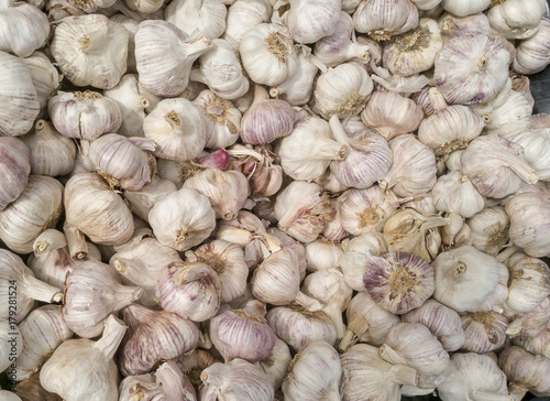 Many fresh garlic cloves at market.