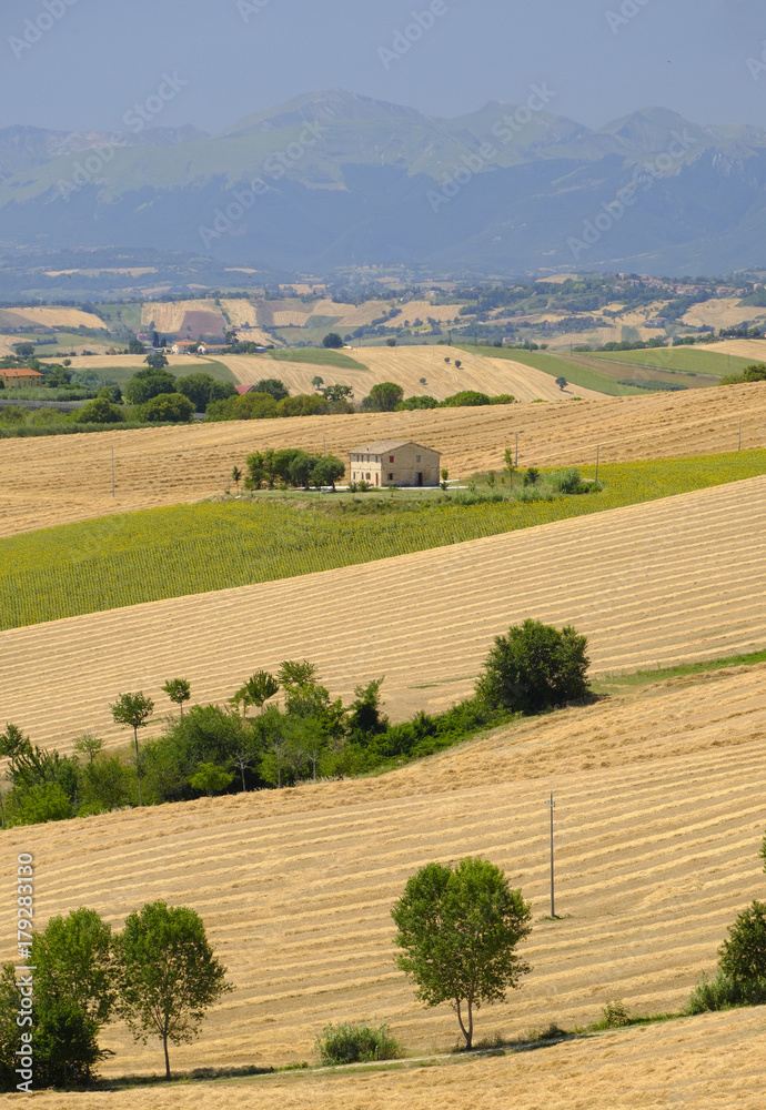 Summer landscape in Marches (Italy) near Appignano