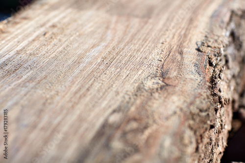 Close up detail of freshly milled lumber