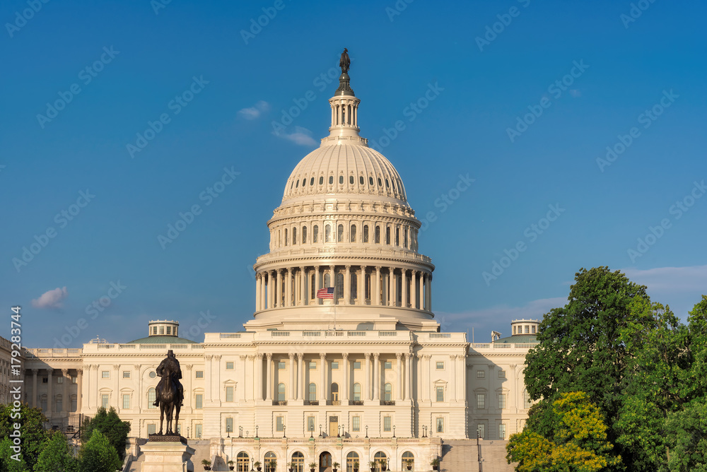 Obraz premium The United States Capitol Building in Washington DC, USA.