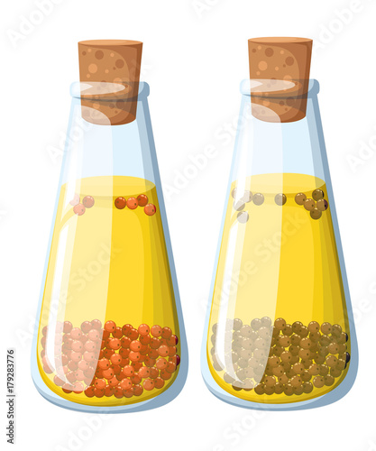 Set of spiced oil jars of various flavors red hot chili pepper dill rosemary clove black pepper red bell pepper and olives. Vector illustration Web site page and mobile app design.