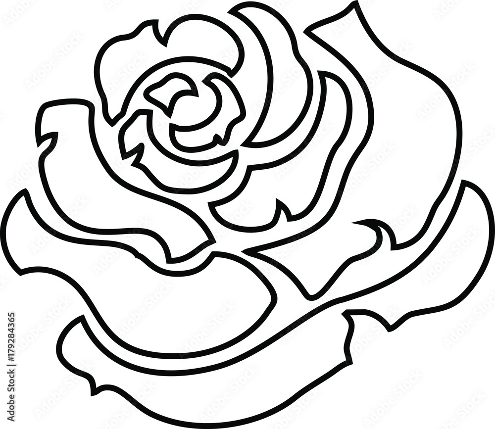 Rose Flower Illustration Flat Outline Rose Flower Illustration Flat Outline