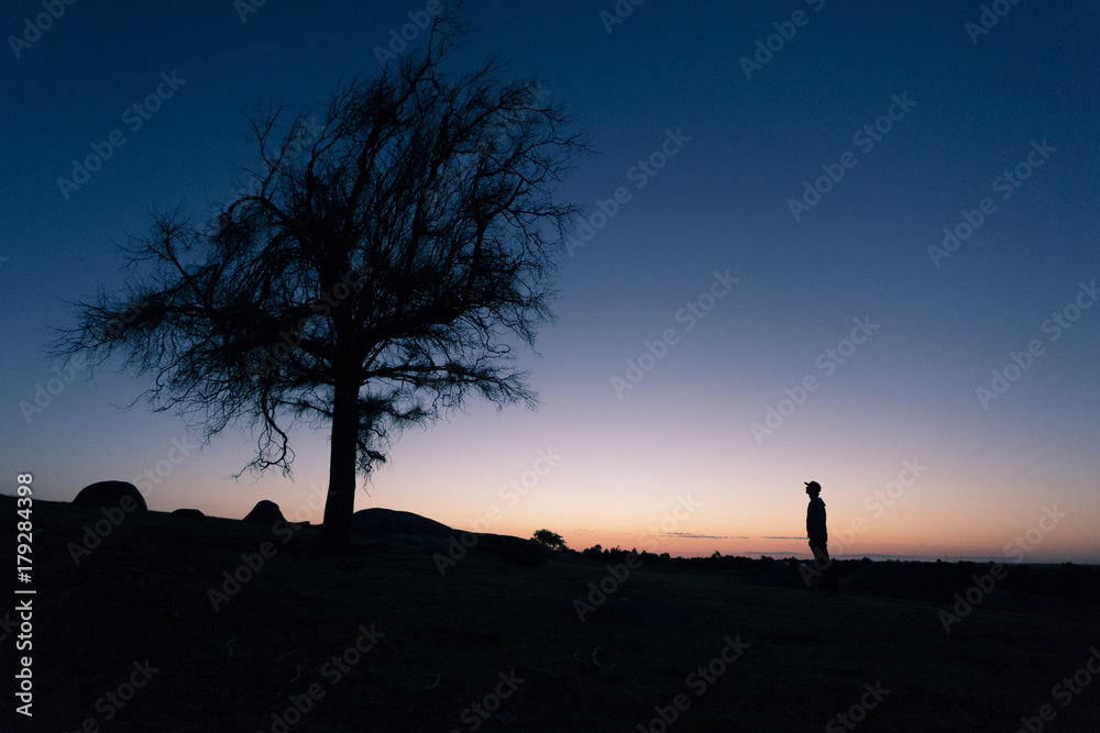 Silhouette of Person and Tree Against Sunset