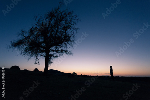 Obraz na plátně Silhouette of Person and Tree Against Sunset