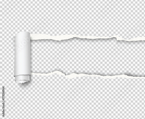 Vector curled torn paper on transparent background.
