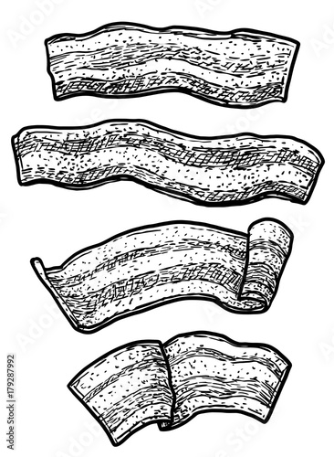 Bacon illustration, drawing, engraving, ink, line art, vector
