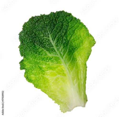 Cabbage leaves isolated on white photo