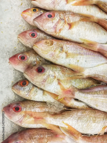 Frozen fish, five lined threadfin bream , on the ice at fish market/ supermarket. 