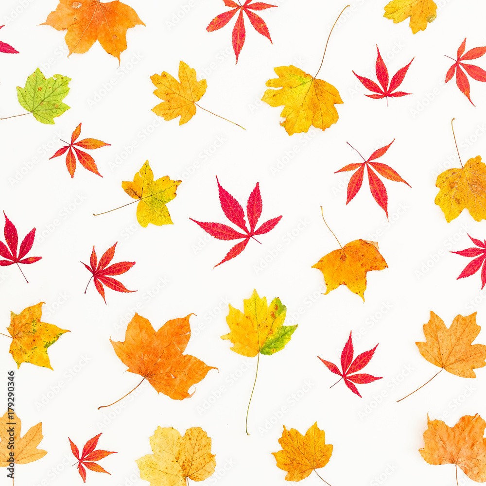 Pattern made of autumn yellow and red leaves on white background. Flat lay, top view. Pattern made of autumn yellow and red leaves on white background. Flat lay, top view.