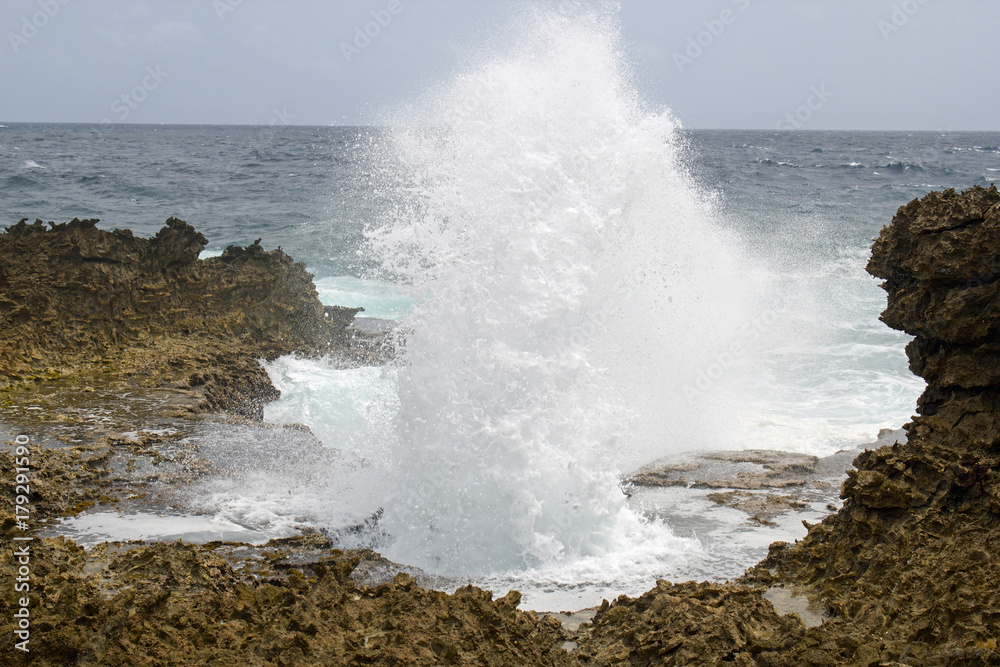 Blowhole Blowhole